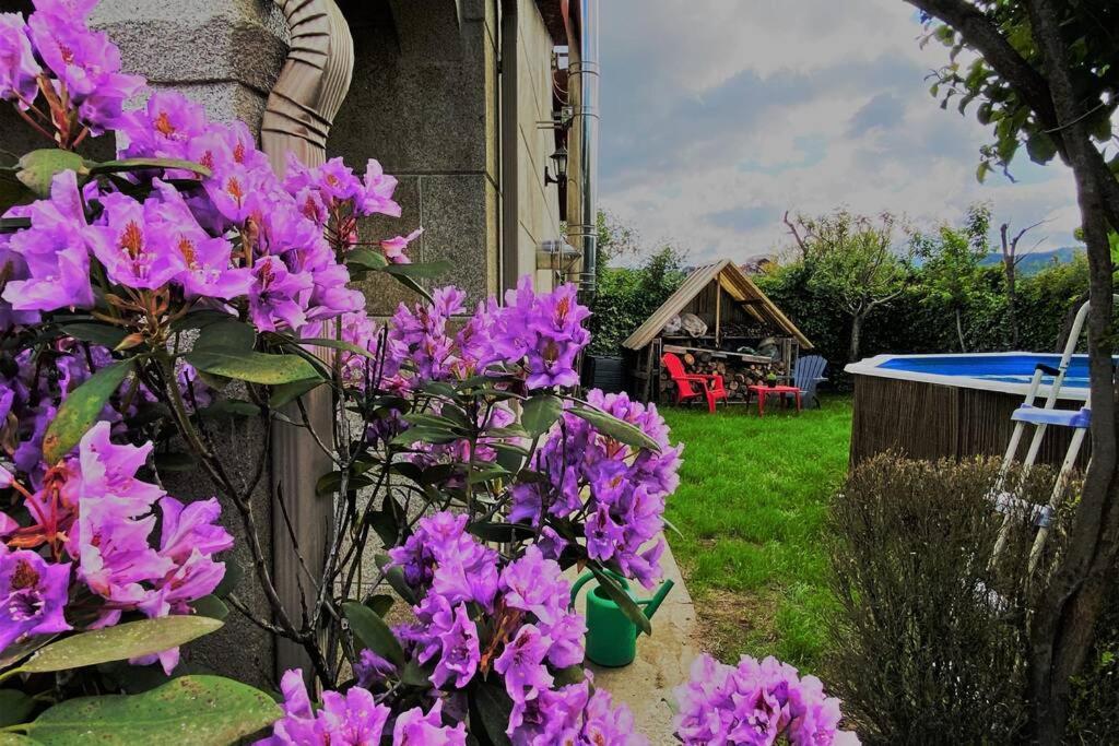 A Chabola Mondariz Villa Pontevedra Exteriör bild